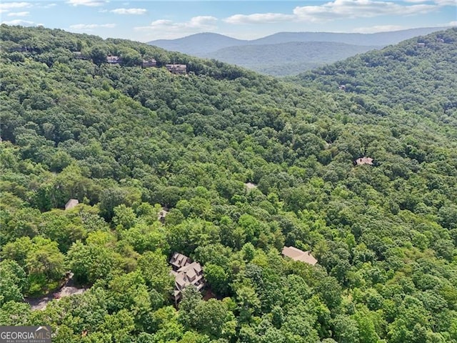 44 Sassafras Rdg, Big Canoe, GA 30143 - aerial view of a heavily wooded area