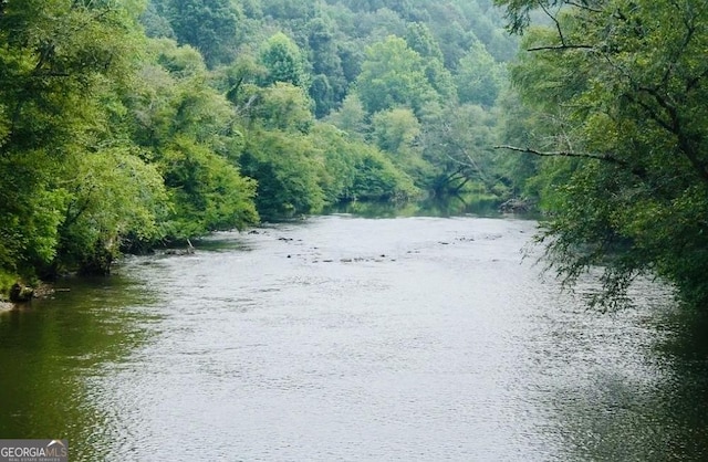 282 Armor Way, Ellijay, GA 30540 - water view with a heavily wooded area