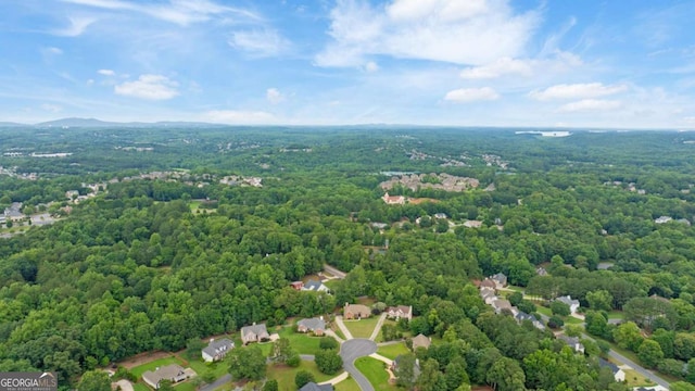 425 Starfire Ct, Suwanee, GA 30024 - drone / aerial view of a forest