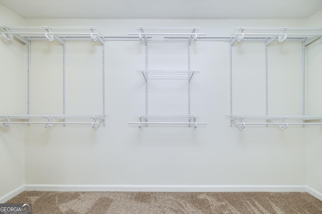 110 Chardonnay Oaks Dr, Mcdonough, GA 30252 - walk in closet with carpet flooring