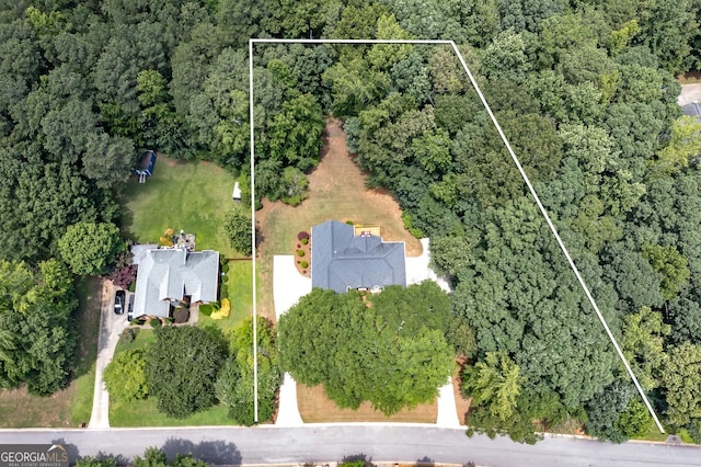 110 Chardonnay Oaks Dr, Mcdonough, GA 30252 - aerial view of property and surrounding area with property boundaries highlighted