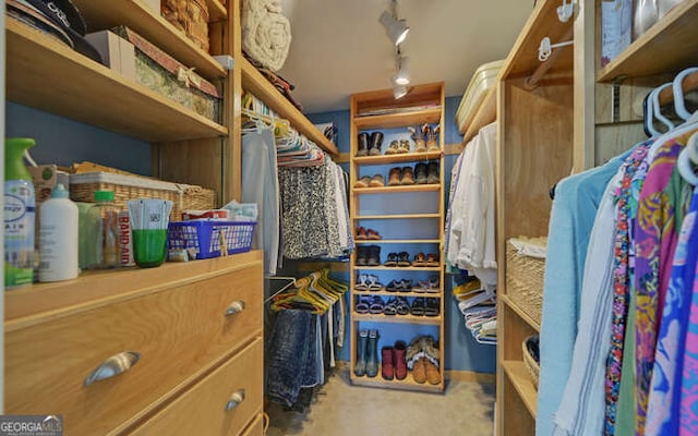 212 Windjammer Dr, Hiawassee, GA 30546 - spacious closet featuring carpet flooring