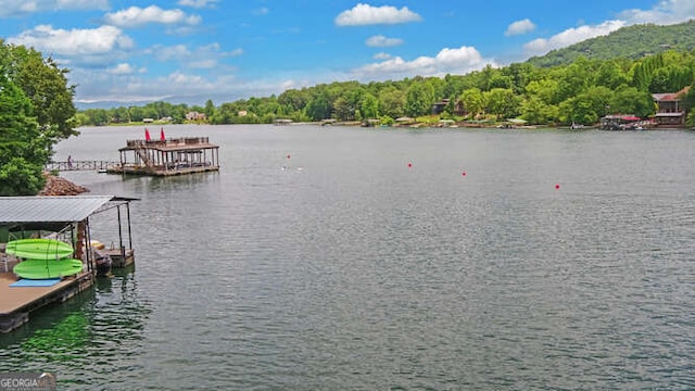 212 Windjammer Dr, Hiawassee, GA 30546 - water view with a floating dock and a heavily wooded area