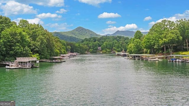 212 Windjammer Dr, Hiawassee, GA 30546 - water view with a mountainous background and a boat dock