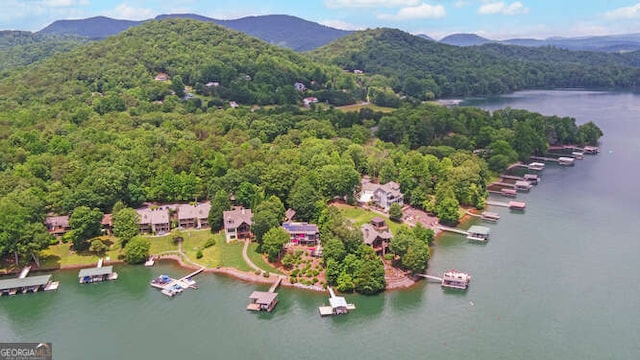 212 Windjammer Dr, Hiawassee, GA 30546 - bird's eye view of a heavily wooded area and a water and mountain view