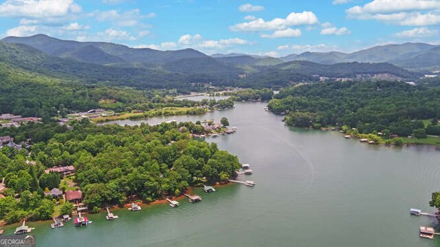 212 Windjammer Dr, Hiawassee, GA 30546 - drone / aerial view of a water and mountain view