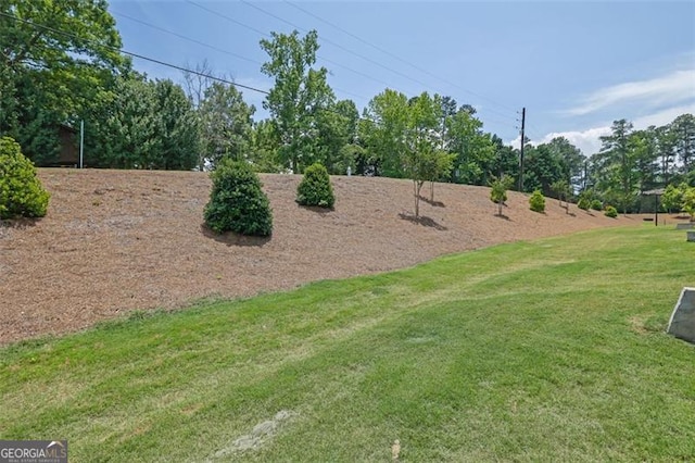 1969 Lanier Harbor Pt, Buford, GA 30518 - view of grassy yard with view of scattered trees