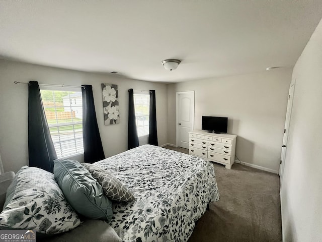 312 Indian River Dr, Jefferson, GA 30549 - carpeted bedroom with multiple windows