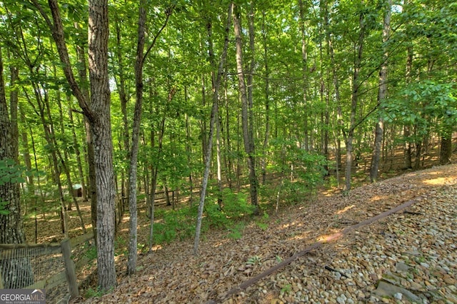 191 Deer Run Rd, Blairsville, GA 30512 - view of wooded area