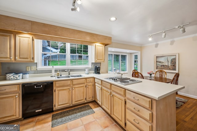 747 Channing Dr NW, Atlanta, GA 30318 - kitchen with dishwasher, rail lighting, stovetop with downdraft, light brown cabinets, and ornamental molding
