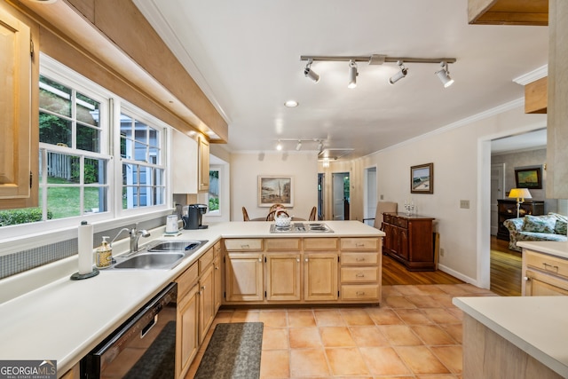 747 Channing Dr NW, Atlanta, GA 30318 - kitchen featuring dishwasher, rail lighting, light brown cabinetry, light countertops, and ornamental molding