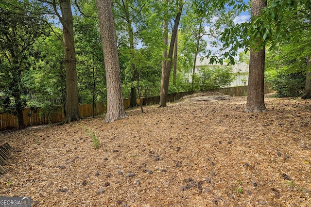 747 Channing Dr NW, Atlanta, GA 30318 - view of yard