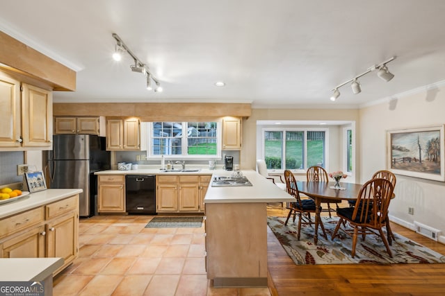 747 Channing Dr NW, Atlanta, GA 30318 - kitchen featuring rail lighting, appliances with stainless steel finishes, light brown cabinets, ornamental molding, and light countertops