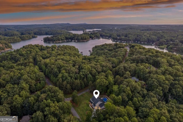 6326 Point Twenty Two, Gainesville, GA 30506 - aerial view at dusk of a water view and a view of trees