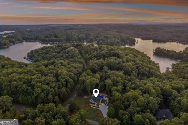 6326 Point Twenty Two, Gainesville, GA 30506 - bird's eye view of a large body of water and a heavily wooded area