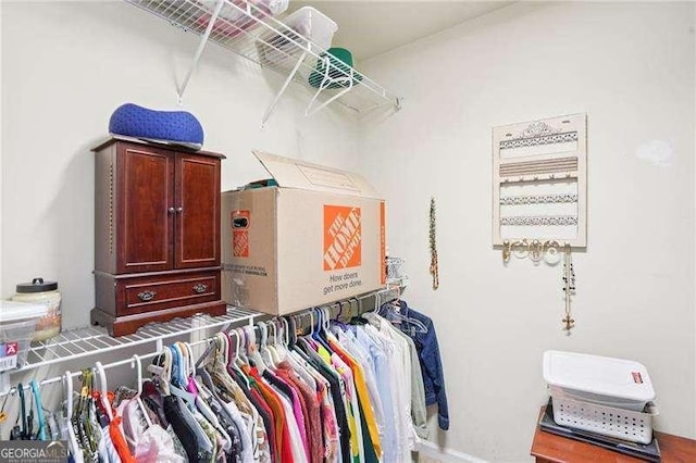 233 Hampton Station Blvd, Canton, GA 30115 - view of spacious closet