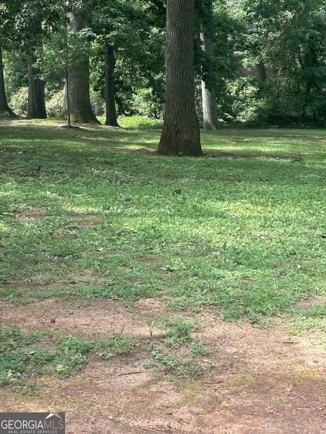 1460 Hartford Ave SW, Atlanta, GA 30310 - view of yard