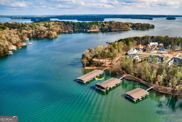 4445 Pebble Rock Dr, Cumming, GA 30041 - bird's eye view of a nearby body of water
