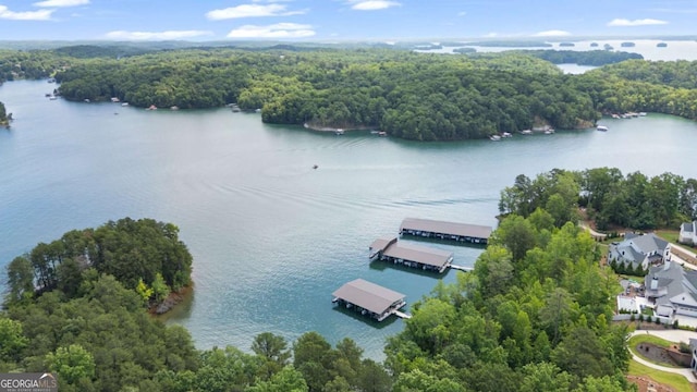 4445 Pebble Rock Dr, Cumming, GA 30041 - bird's eye view of a heavily wooded area and a large body of water