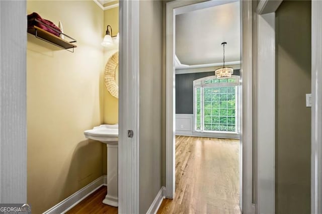 205 Camden Creek Ct, Lawrenceville, GA 30043 - corridor featuring ornamental molding and wood finished floors