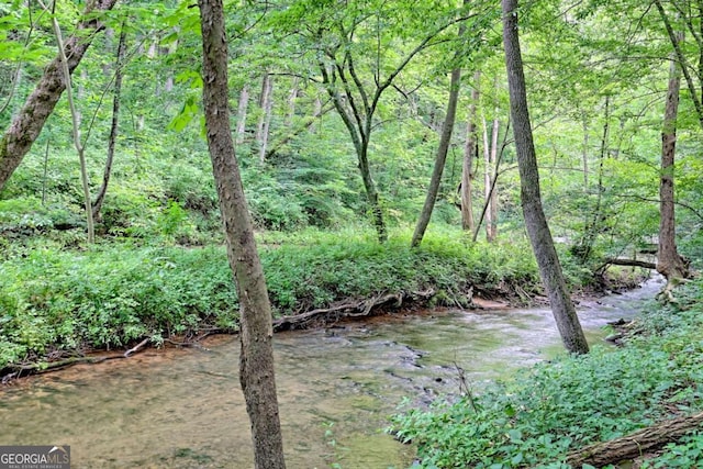 215 Souther Meadow Dr, Blairsville, GA 30512 - view of nature