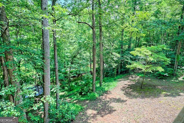 215 Souther Meadow Dr, Blairsville, GA 30512 - view of tree filled area