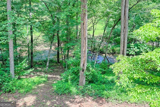 215 Souther Meadow Dr, Blairsville, GA 30512 - view of local wilderness