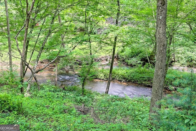 215 Souther Meadow Dr, Blairsville, GA 30512 - view of wooded area
