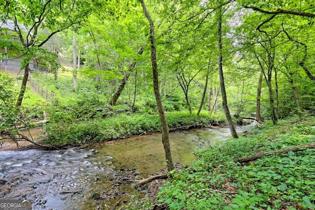 215 Souther Meadow Dr, Blairsville, GA 30512 - view of undeveloped land