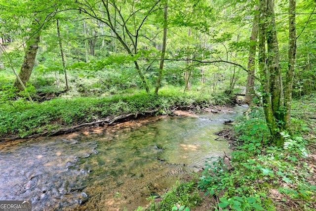 215 Souther Meadow Dr, Blairsville, GA 30512 - view of tree filled area