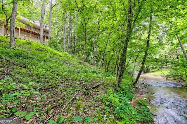 215 Souther Meadow Dr, Blairsville, GA 30512 - view of woods