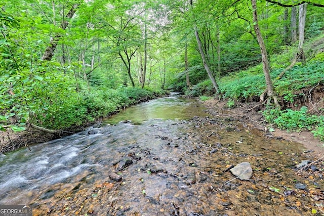 215 Souther Meadow Dr, Blairsville, GA 30512 - water view featuring a forest