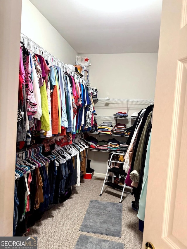 3439 Tupelo Trl, Auburn, GA 30011 - walk in closet with carpet