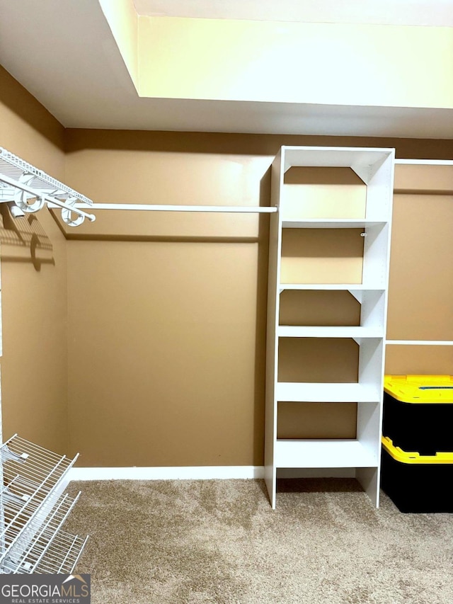 3439 Tupelo Trl, Auburn, GA 30011 - walk in closet featuring carpet floors