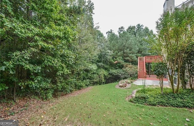 3439 Tupelo Trl, Auburn, GA 30011 - view of green lawn with stairway