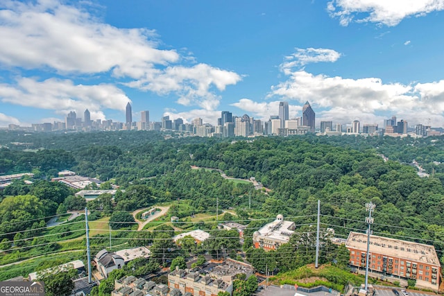 560 Dutch Valley Rd NE Unit 2412, Atlanta, GA 30324 - skyline view