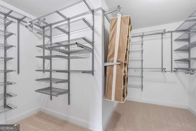 812 Autry Oak Ct, Alpharetta, GA 30022 - walk in closet with carpet flooring