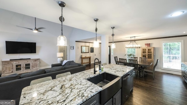 180 Mountain Path, Rockmart, GA 30153 - kitchen featuring dishwasher, open floor plan, dark wood-style flooring, light stone counters, and a ceiling fan