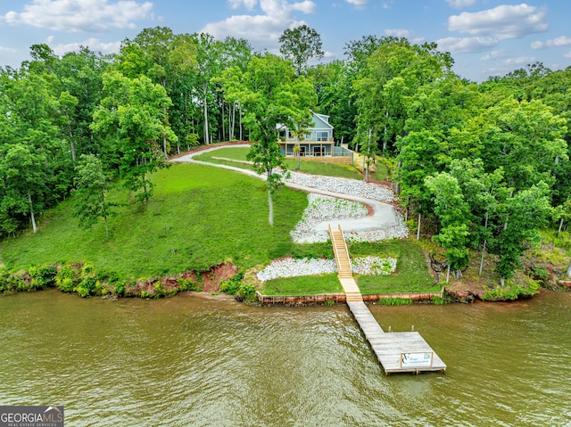 631 Susan Davis Rd, Sparta, GA 31087 - view from above of property featuring a large body of water