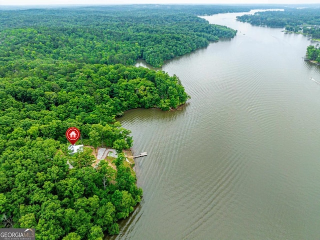 631 Susan Davis Rd, Sparta, GA 31087 - drone / aerial view of a nearby body of water and a forest