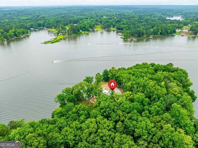 631 Susan Davis Rd, Sparta, GA 31087 - aerial view of a nearby body of water