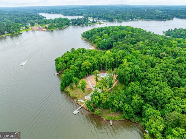 631 Susan Davis Rd, Sparta, GA 31087 - aerial view of a nearby body of water