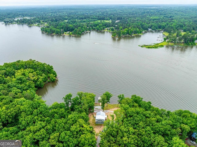631 Susan Davis Rd, Sparta, GA 31087 - aerial view of a large body of water