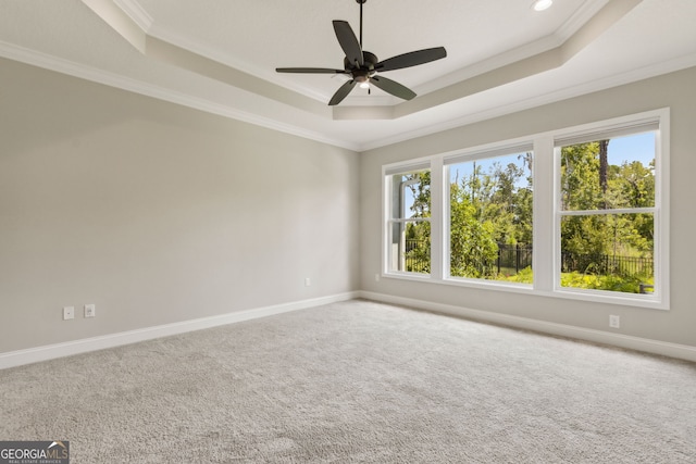183 Ryan Nicholas Dr, Kingsland, GA 31548 - spare room with a raised ceiling, crown molding, healthy amount of natural light, carpet, and recessed lighting