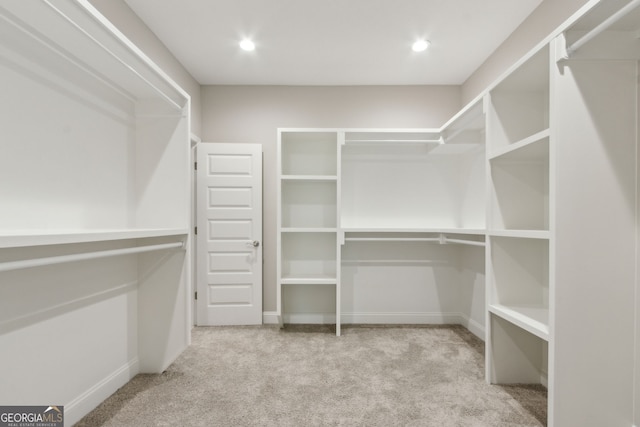 183 Ryan Nicholas Dr, Kingsland, GA 31548 - spacious closet with carpet flooring