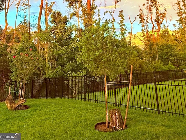 183 Ryan Nicholas Dr, Kingsland, GA 31548 - view of yard
