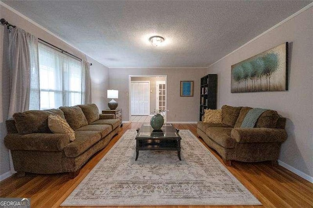 160 Edgewood Dr, Athens, GA 30606 - living room featuring a textured ceiling, light wood-style flooring, and ornamental molding