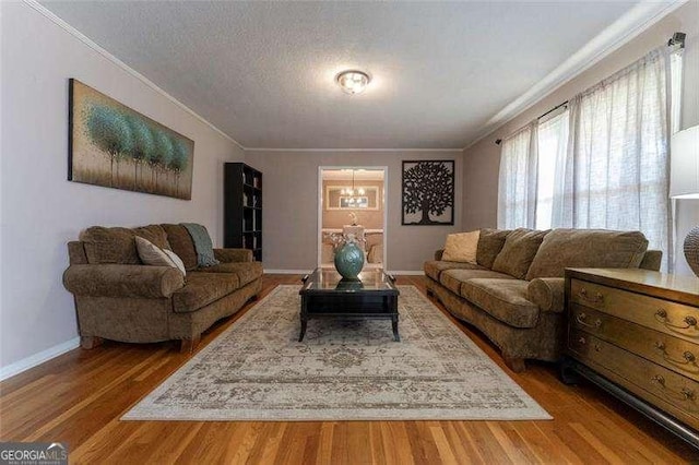 160 Edgewood Dr, Athens, GA 30606 - living area featuring crown molding, wood finished floors, and a textured ceiling