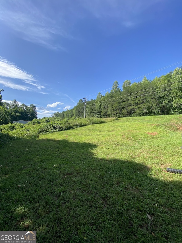14 Henderson Rd, Cleveland, GA 30528 - view of green lawn