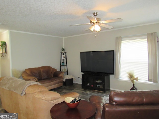 14 Henderson Rd, Cleveland, GA 30528 - living area featuring dark wood-style floors, a ceiling fan, and ornamental molding